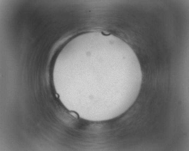 X0000081280294200702082000