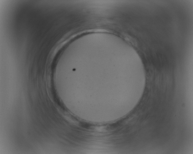 X0000081280295200702082000