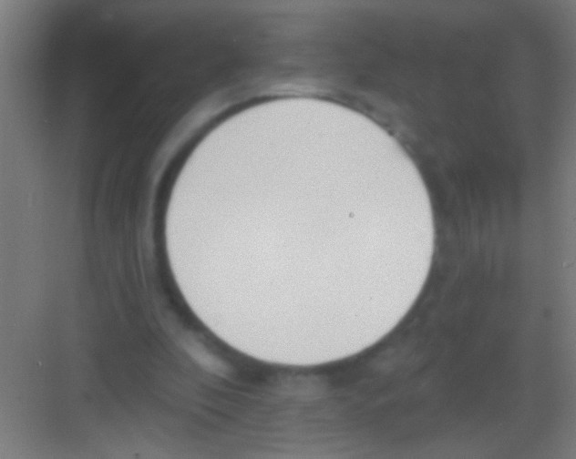 X0000081280296200702082000