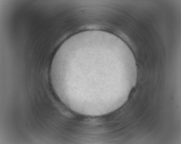 X0000081280297200702082000