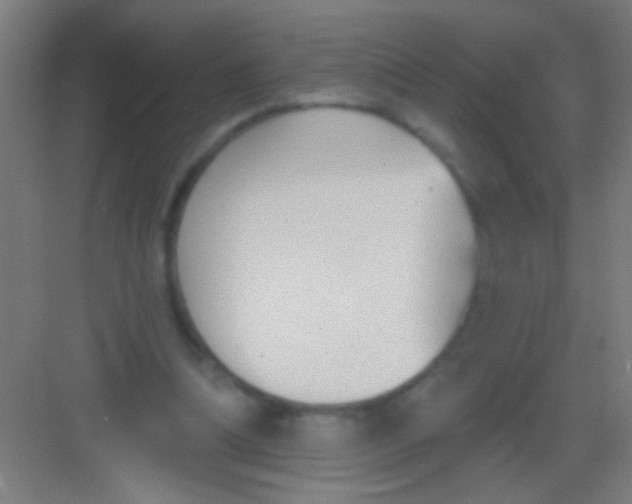 X0000081280298200702082000