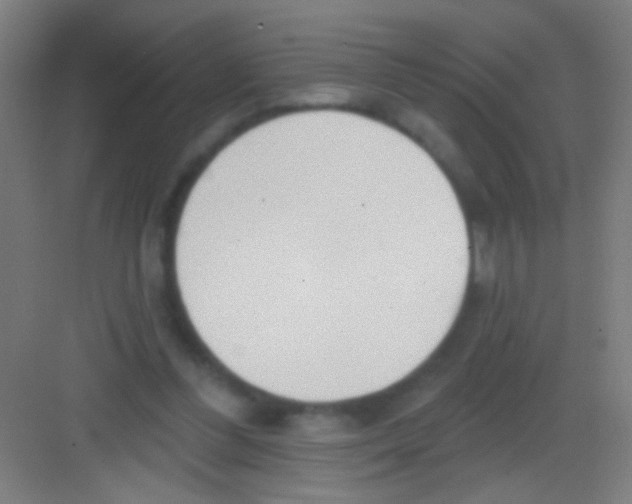 X0000081280300200702082000