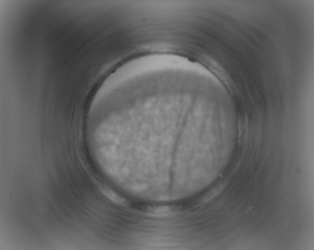 X0000081280301200702082000