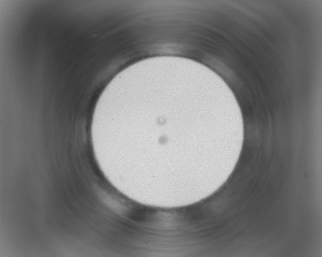 X0000081280302200702081959