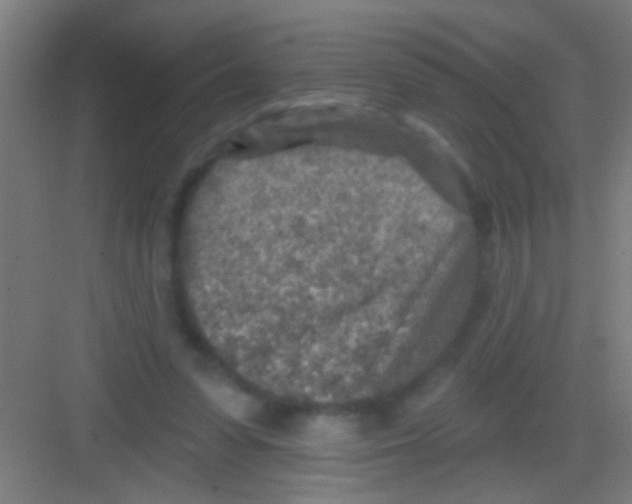 X0000081280303200702081959