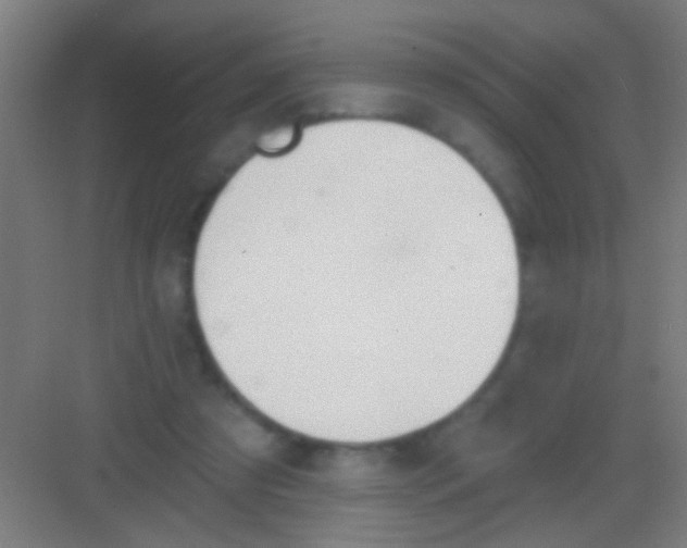 X0000081280305200702081959