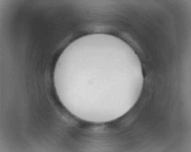 X0000081280306200702081959