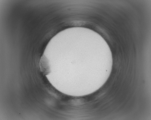 X0000081280307200702081959