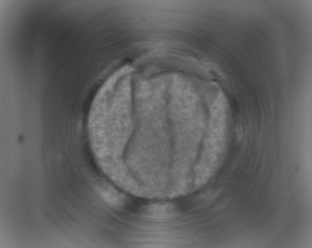 X0000081280314200702081959