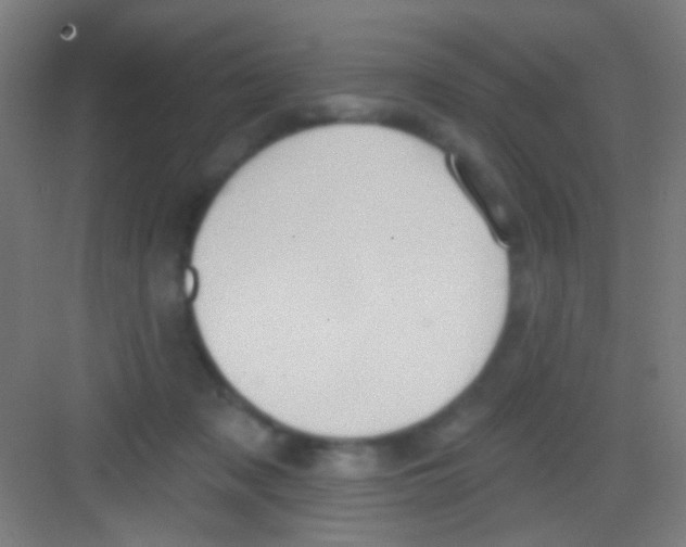 X0000081280317200702081959