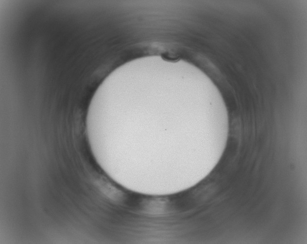 X0000081280318200702081959