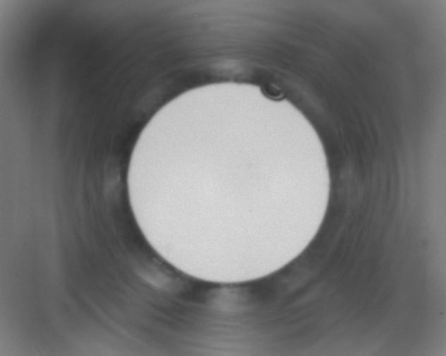 X0000081280320200702081959