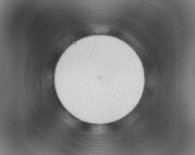 X0000081280321200702081959