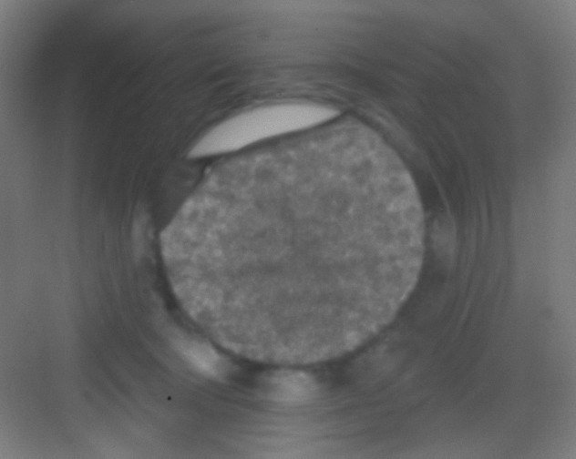 X0000081280322200702081959