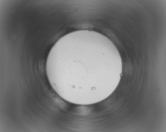 X0000081280326200702081959