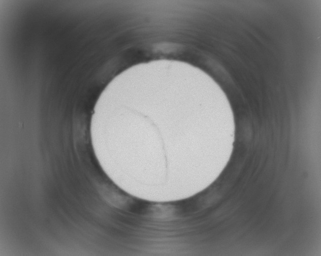 X0000081280328200702081959