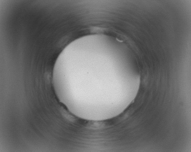 X0000081280329200702081959