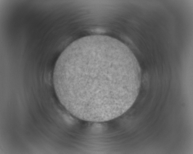 X0000081280330200702081959