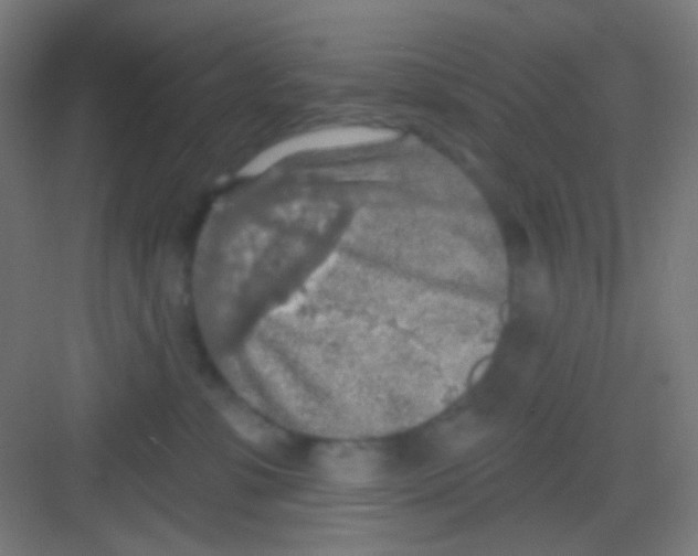 X0000081280331200702081959