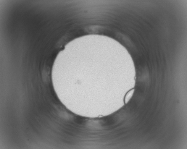 X0000081280332200702081959