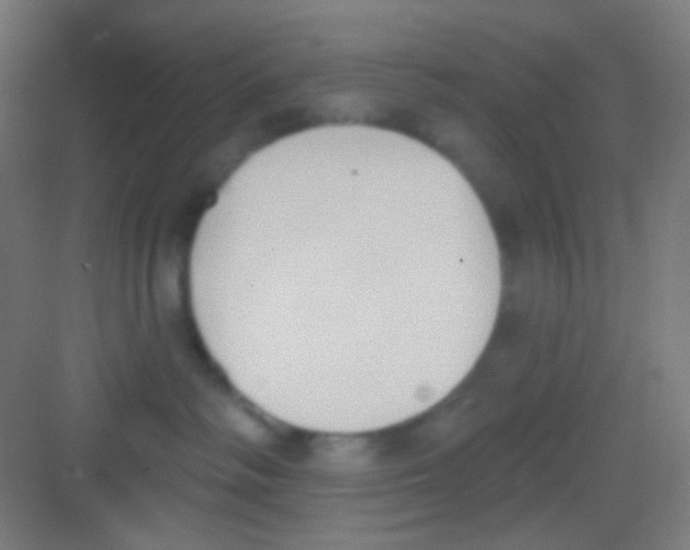 X0000081280334200702081959