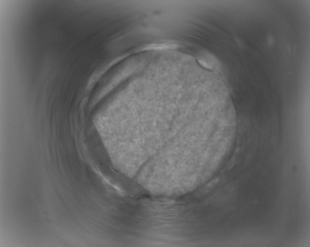 X0000081280337200702081958