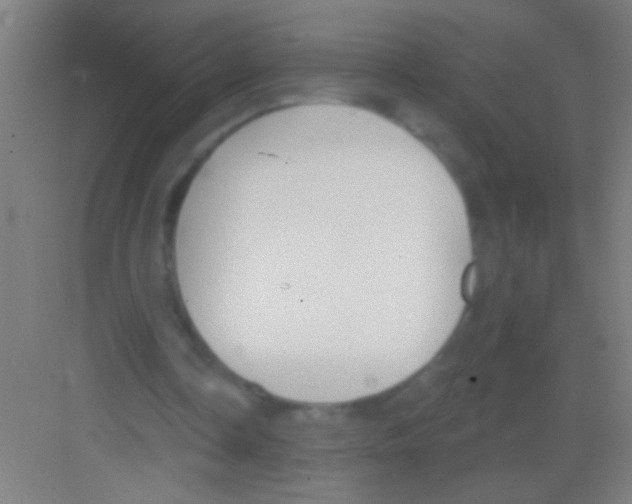 X0000081280338200702081958