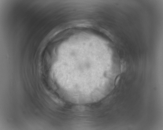 X0000081280339200702081958