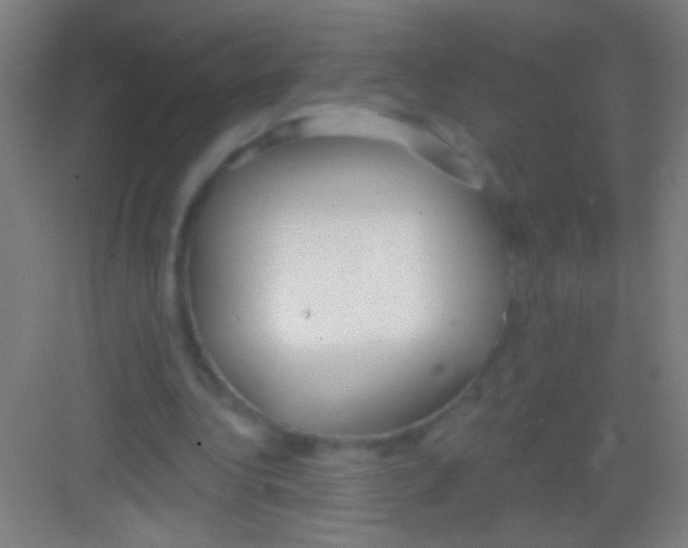 X0000081280340200702081958