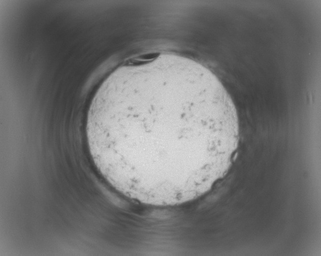 X0000081280341200702081958