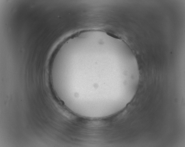 X0000081280342200702081958