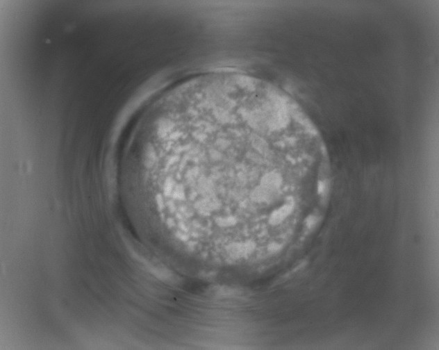 X0000081280343200702081958