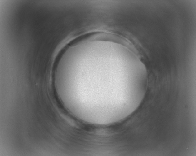 X0000081280344200702081958