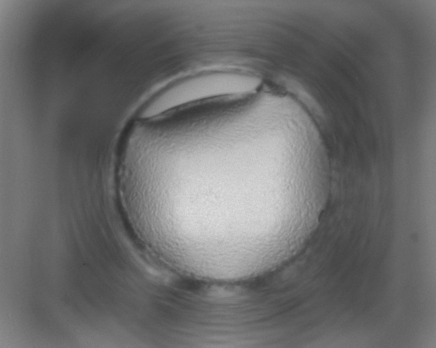 X0000081280346200702081958