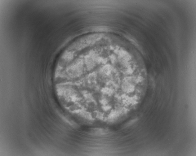 X0000081280347200702081958