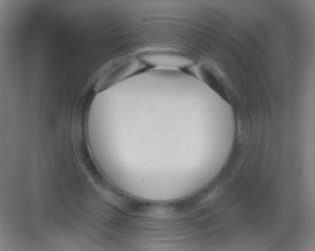 X0000081280348200702081958