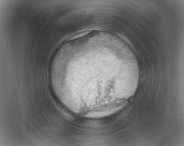 X0000081280349200702081958