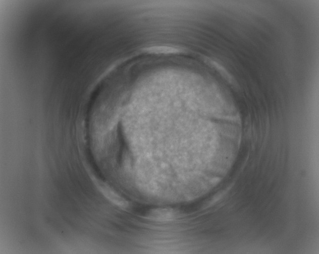 X0000081280351200702081958