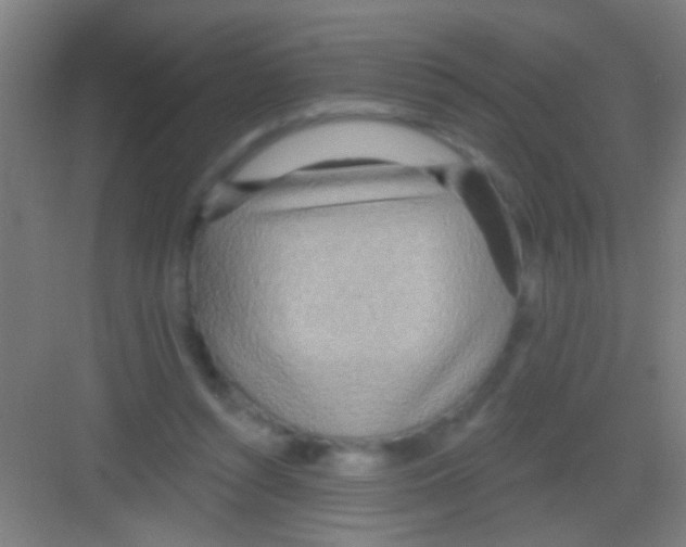 X0000081280352200702081958