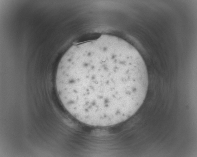 X0000081280354200702081958