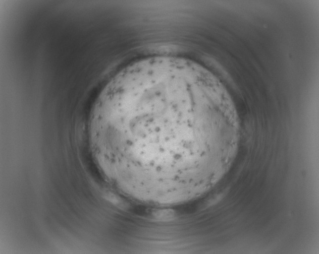 X0000081280355200702081958