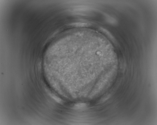 X0000081280357200702081958