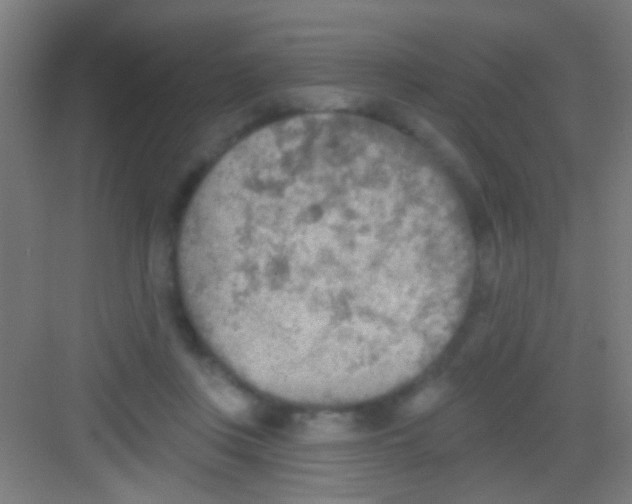 X0000081280359200702081958