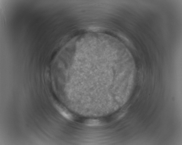 X0000081280361200702081959