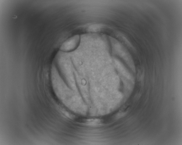 X0000081280363200702081959