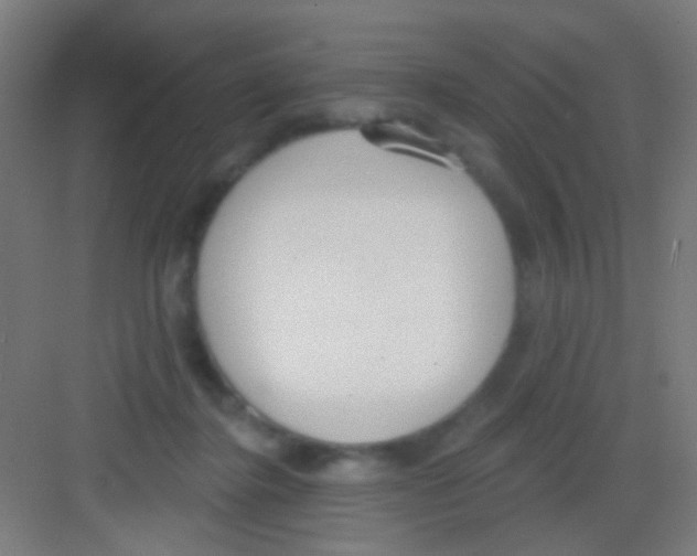 X0000081280364200702081959