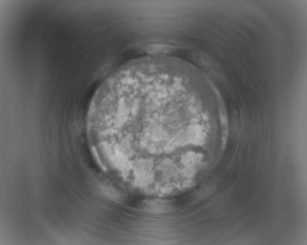 X0000081280367200702081959