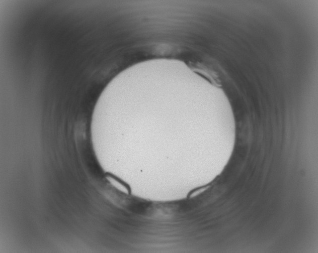 X0000081280368200702081959