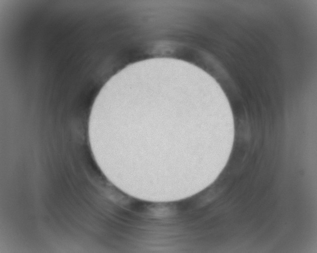 X0000081280370200702081959