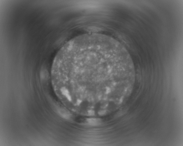 X0000081280371200702081959